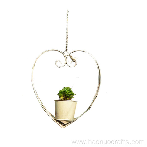 Hanging type flower pot garden plant growing holder